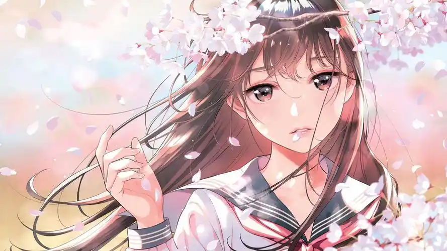 最新电视剧免费看